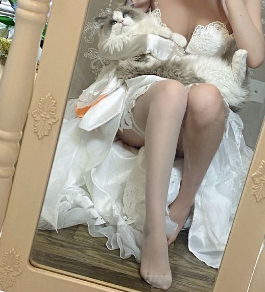 靠比较软免费在线观看